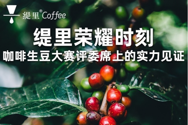 缇里咖啡荣耀时刻！咖啡生豆大赛评委席上见证缇里实力！